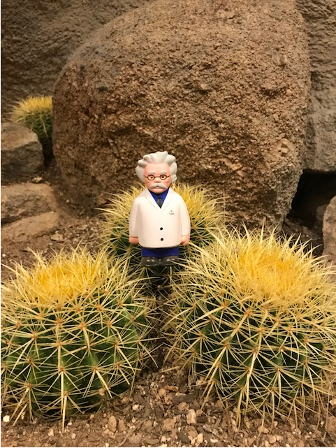 CTOTF Conference, Phoenix, Arizona, USA