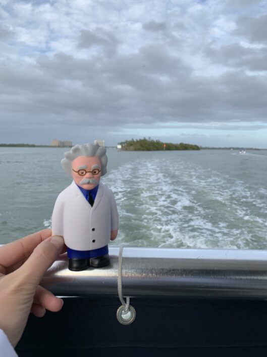 Gulf of Mexico, Cape Coral, Florida, USA